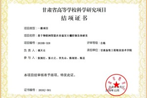 2020年智能与信息学院专业建设及科研成果